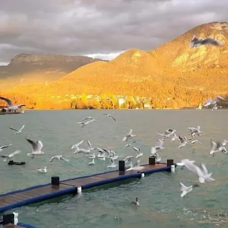 Magnifique A Deux Pas Du Et Pres Du Centre Annecy
