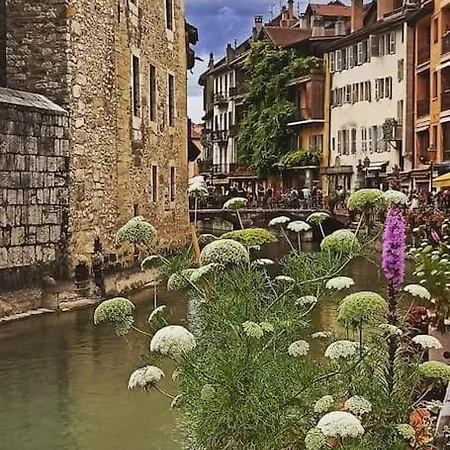 Apartment Magnifique A Deux Pas Du Et Pres Du Centre Annecy