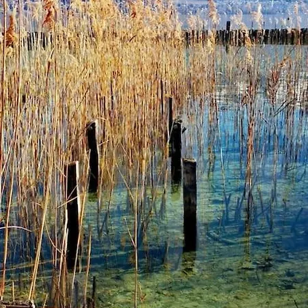 Magnifique A Deux Pas Du Et Pres Du Centre Annecy