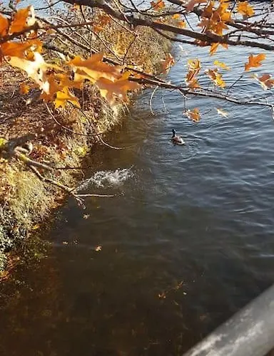 Magnifique A Deux Pas Du Et Pres Du Centre * Annecy