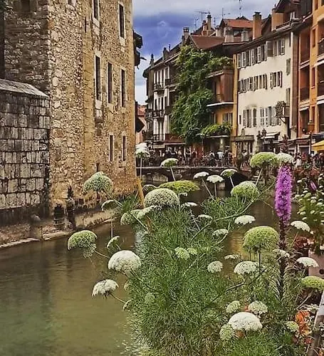 Appartement Magnifique A Deux Pas Du Et Pres Du Centre Annecy