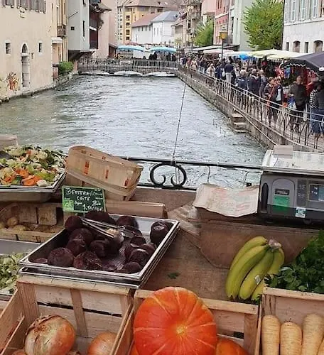 Magnifique A Deux Pas Du Et Pres Du Centre * Annecy